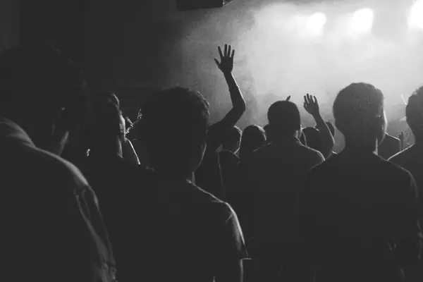 A concert crowd seen from behind, 2015 (a stock photo, not Adele’s show)