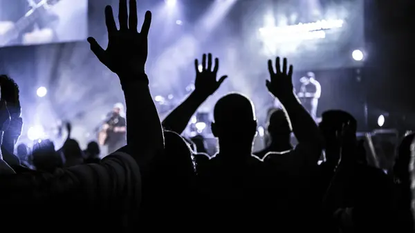 Concertgoers with raised hands, Houston, October 3, 2016 (a stock photo, not Adele’s show)