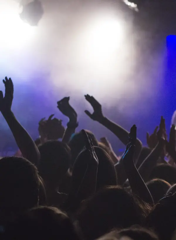 Raised hands at a club gig, 2015 (a stock photo, not Adele’s show)