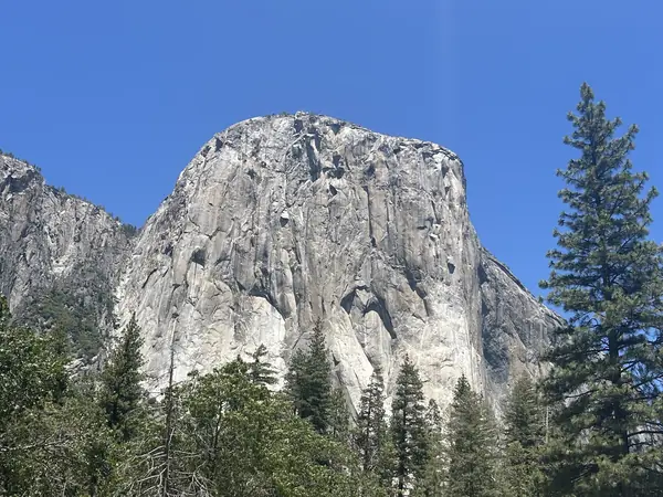 El Capitan’s main face from the roadside, Yosemite Valley, June 17, 2025