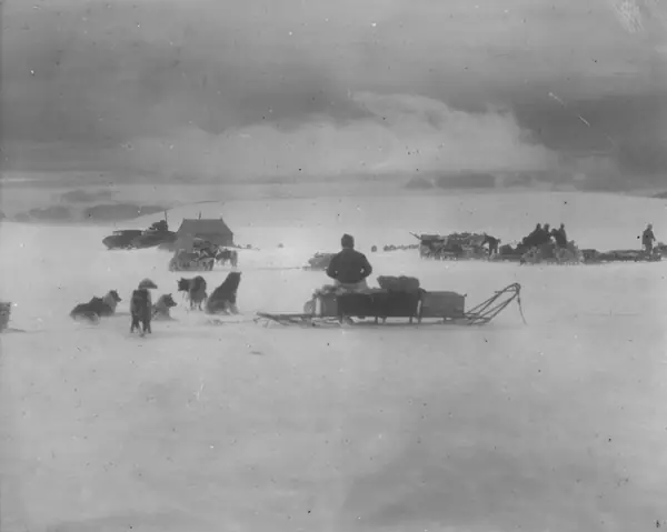 Dog sledges in drifting snow, German Greenland Expedition, 1930–31 (not his last journey)