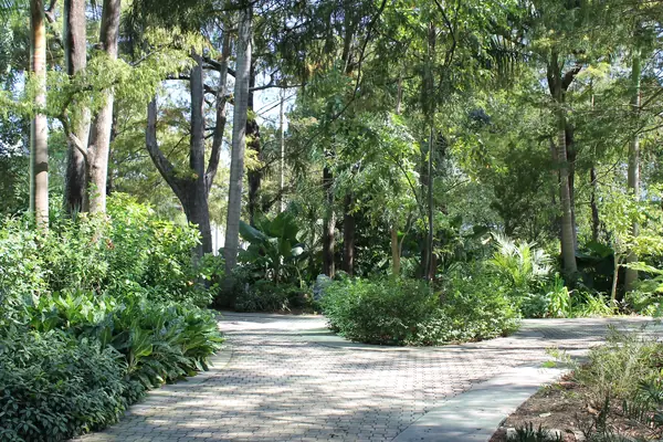 Stranahan Park, downtown Fort Lauderdale, December 8, 2014 (not confirmed as the park where he was stopped)