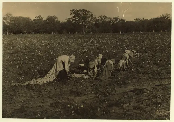 Children picking cotton on H. M. Lane’s farm, Bells, Texas, 1913 (not Murphy’s family)