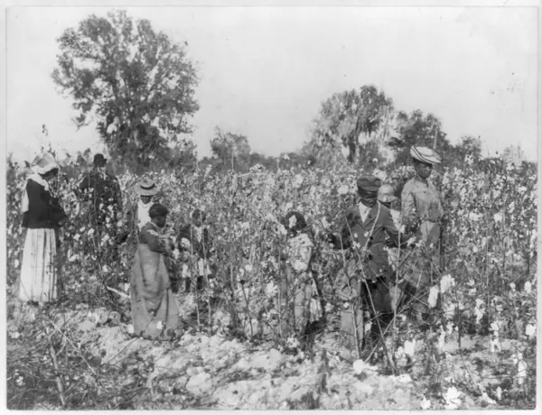 Women and children in cotton field LCCN2012648378