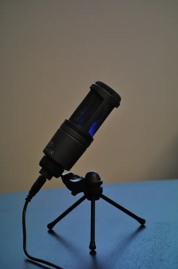 An Audio-Technica AT2020 microphone, the model her vocal was recorded on, photographed October 23, 2014 (not theirs)