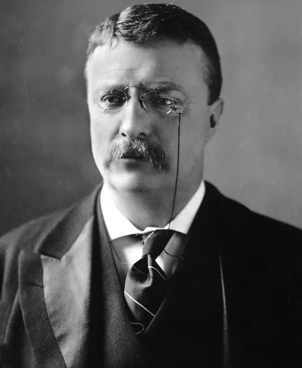 Theodore Roosevelt, photographed by M. P. Rice, about 1902