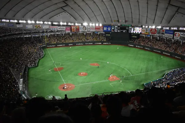 Inside the Tokyo Dome during a baseball game, April 2, 2019 (not the 1990 fight)