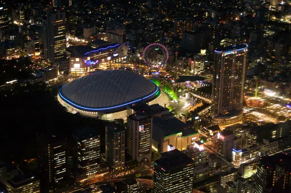The Tokyo Dome from the air at night, April 11, 2008