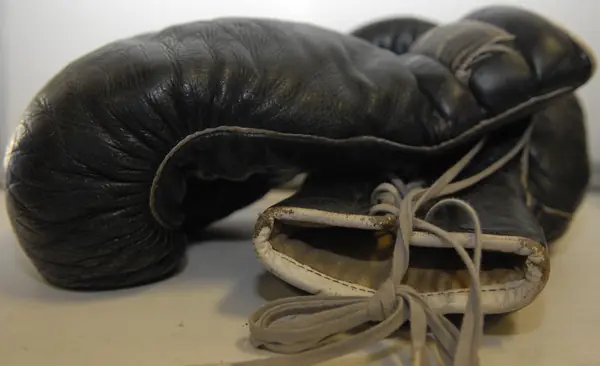 Black leather boxing gloves, Vandenberg Air Force Base, August 5, 2009 (not Douglas’s)