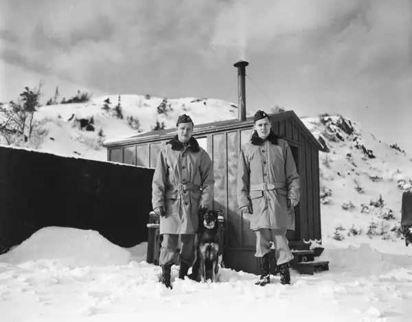 Maj. Phillip Carter and Capt. Harold Dean with an Army guard dog, Newfoundland, January 23, 1943 (not Chips)