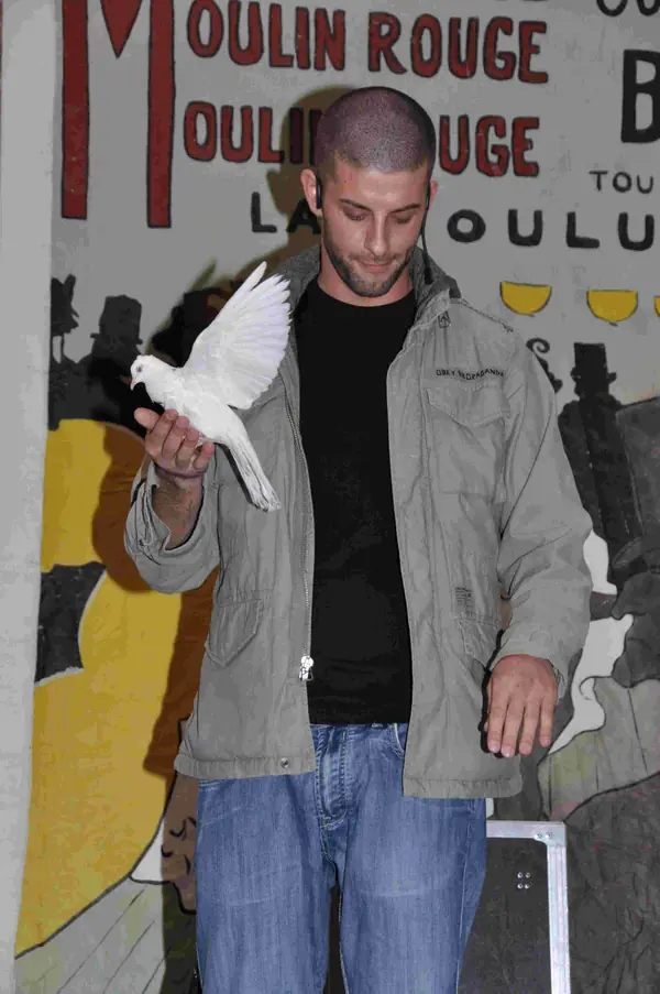 Darcy Oake with a dove on his hand at the “All That Glitters” charity gala, May 7, 2010 (not the 2019 show)
