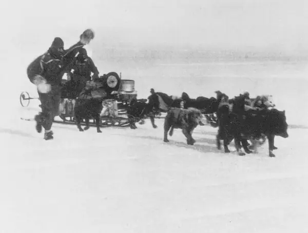 Mertz and Ninnis arriving with the dogs at Aladdin’s Cave, November 1912
