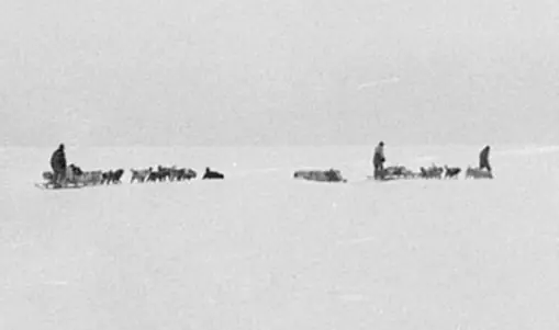 The last photograph of the Far Eastern Party, by Archibald McLean, November 1912