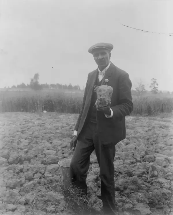 Carver standing in a field, probably at Tuskegee, holding a piece of soil, 1906