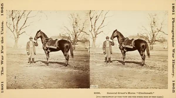 “General Grant’s Horse ‘Cincinnati,’” stereograph, March 1865 (not the Carver horse)