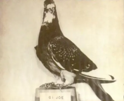 G.I. Joe, mounted on display at Fort Monmouth (US Army photo)