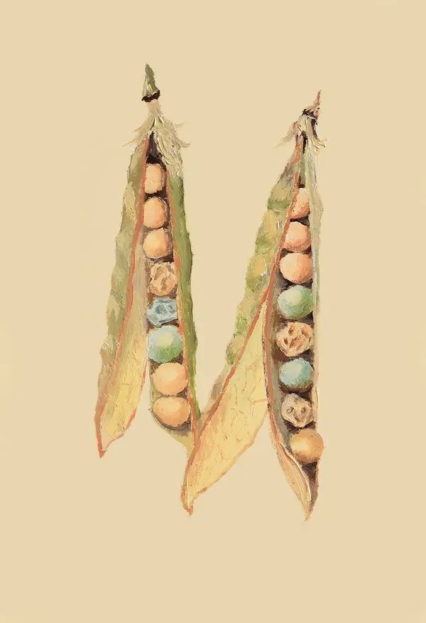 Mendel’s Experiments: Seed Shape & Color, a painting by Daniel J. Fairbanks, 2017 (not Mendel’s peas)