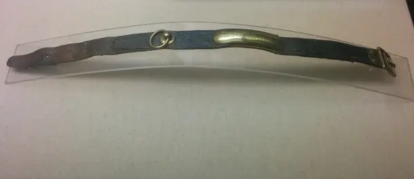 Greyfriars Bobby’s collar, Museum of Edinburgh (cropped)