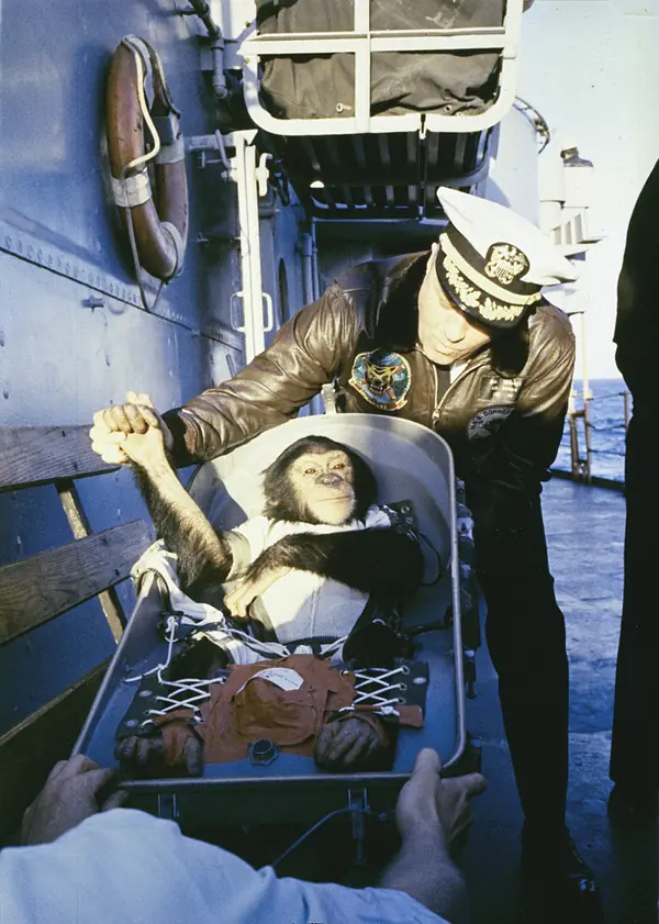 Ham’s “handshake” with the commander of USS Donner after his recovery, January 31, 1961