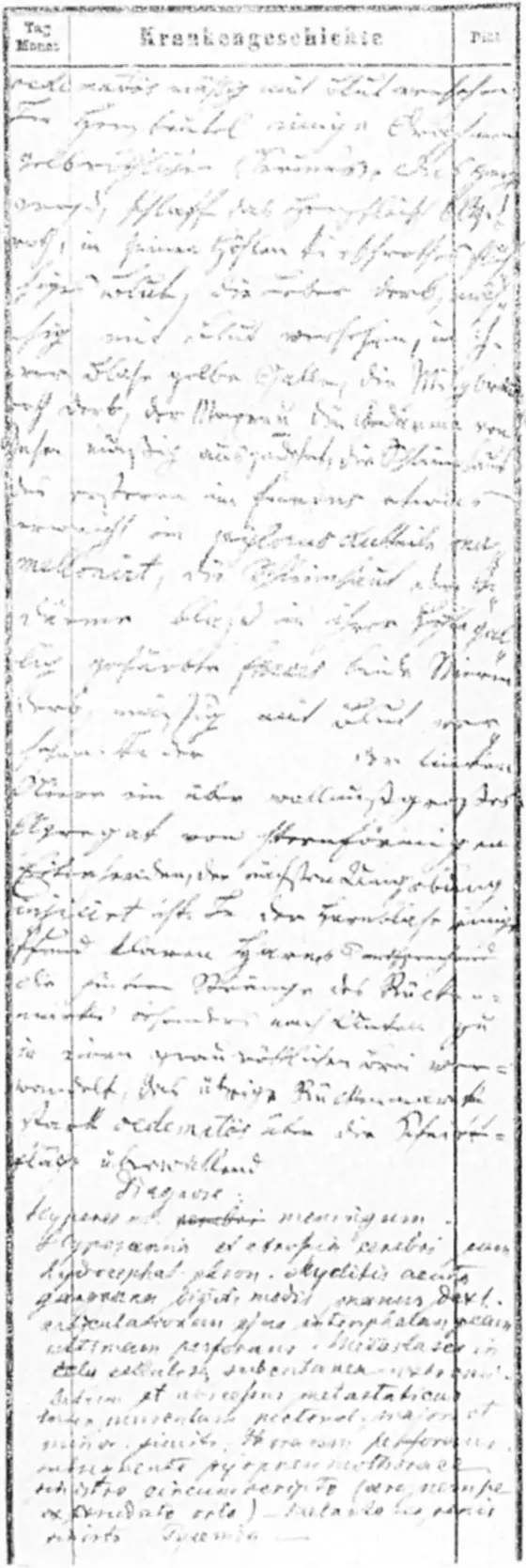 His 1865 asylum case record (Krankengeschichte), as reproduced in István Benedek’s book, 1983