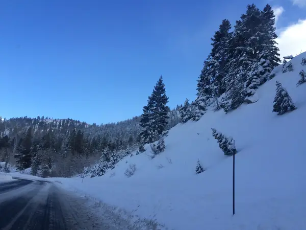The Mount Rose Highway after fresh snow, February 9, 2015 (not the scene of the accident)