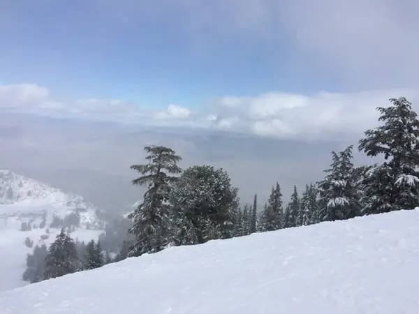 Fresh snow at Mount Rose Ski Tahoe, looking west toward Reno, February 9, 2015