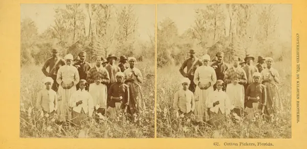“Cotton Pickers, Florida,” a Kilburn Brothers stereograph, the card copyrighted 1879 (not Walker)
