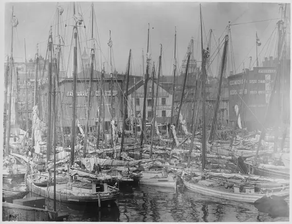 Oyster fleet in Baltimore Harbor, Maryland, ca. 1885 - NARA - 513081
