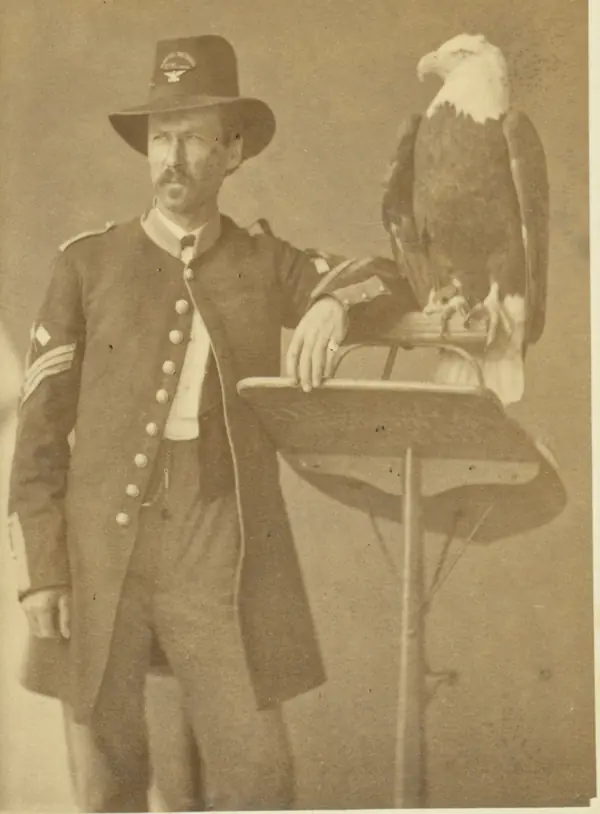 An unidentified signal sergeant with Old Abe on his perch, Philadelphia, 1876