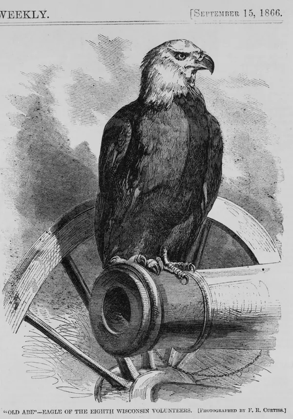 “‘Old Abe’—Eagle of the Eighth Wisconsin Volunteers,” Harper’s Weekly, September 15, 1866