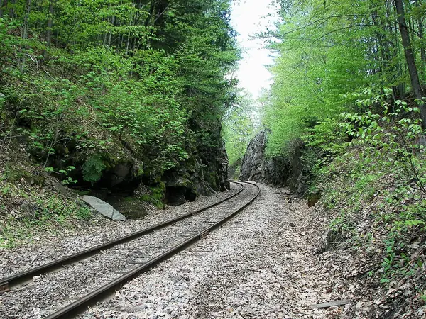 A railroad cut near Cavendish, presumed to be the accident site, 2009