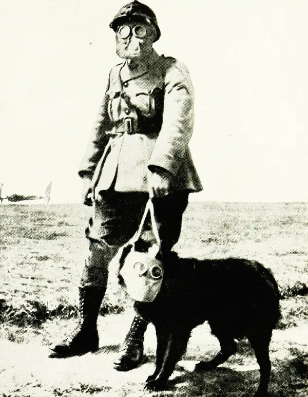 “A dog and his master protected alike from poison gas at the battle front,” from the National Geographic Society’s Book of Dogs, 1919 (not Rags)