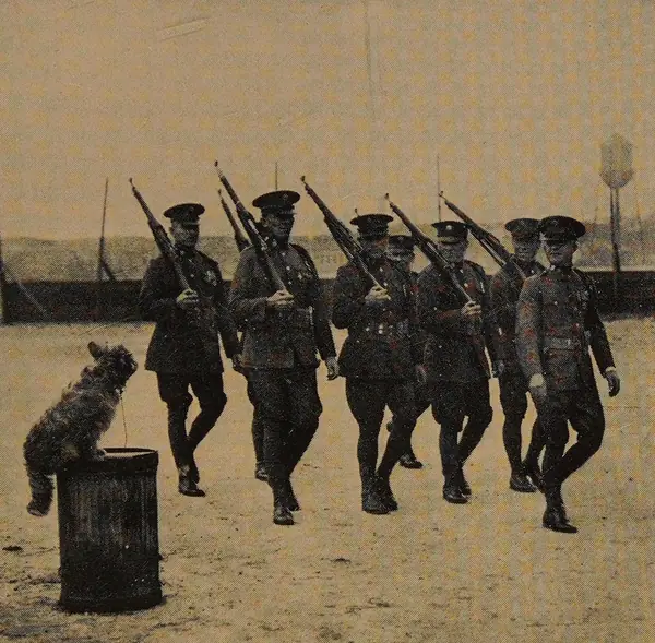 “Rags Holds a ‘Doggy’ Review” of marching soldiers, 1920s
