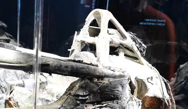 The burned halo of his Haas, The Formula 1 Exhibition, London, February 20, 2025 (cropped)