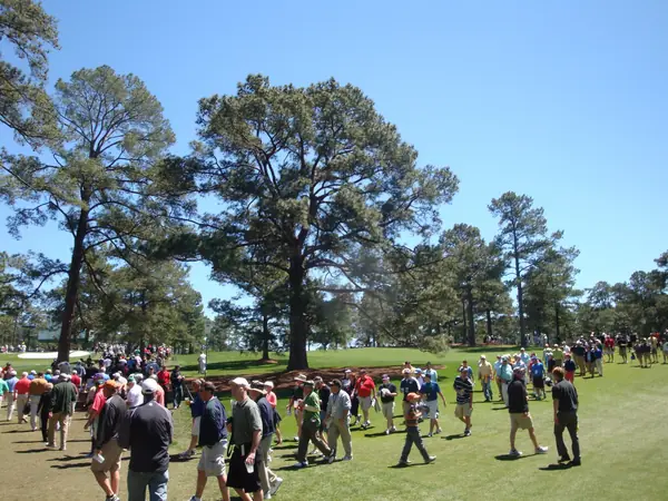 The Eisenhower Tree at Augusta National on a practice day of Masters week, April 6, 2011 (not the final round)