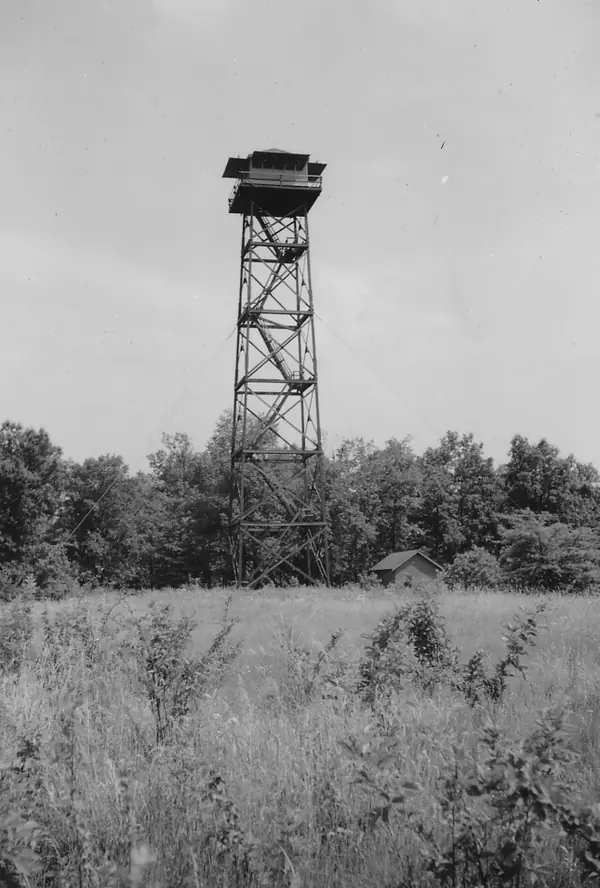 Massac Lookout Tower, Illinois, June 1941 (a tower of the same era and type, not Sullivan’s)