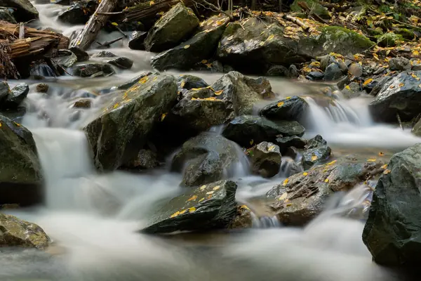 The Rose River, Shenandoah National Park, 2024 (not where he was fishing in 1977)