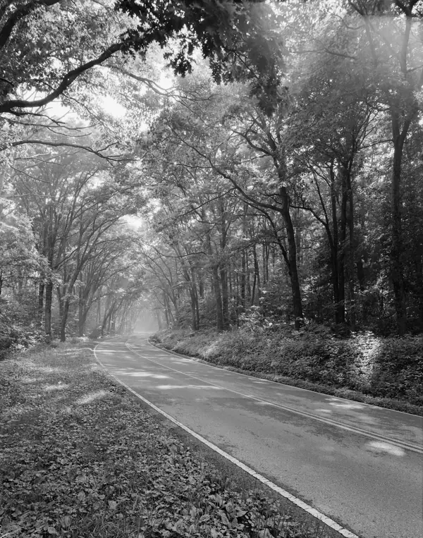 Skyline Drive’s “Green Tunnel,” mile 58.8, Shenandoah National Park, 1996