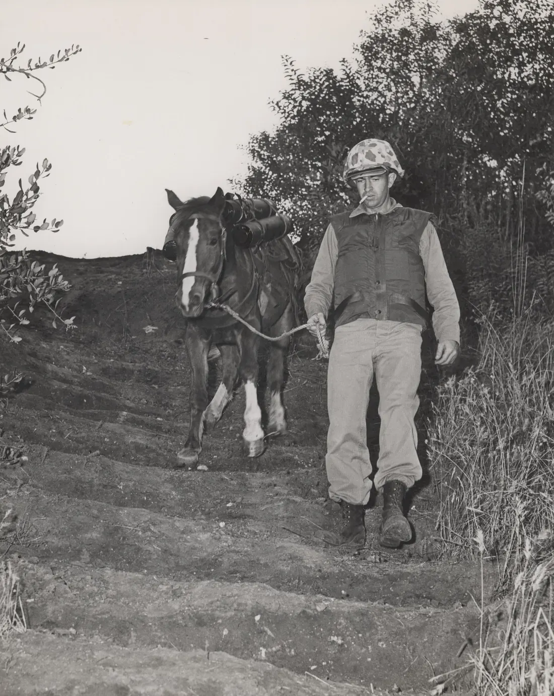 Reckless Carrying Ammunition, 1953 (12836194333)