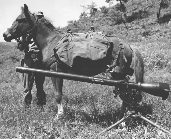 Sgt Reckless with recoilless-rifle