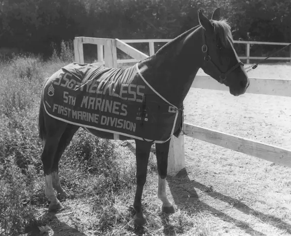 SSgt Reckless, Camp Pendleton, circa 1959 (15455698659)