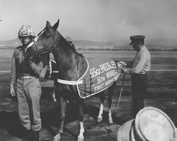 Staff Sergeant Reckless