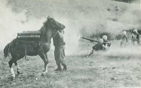 Reckless under fire