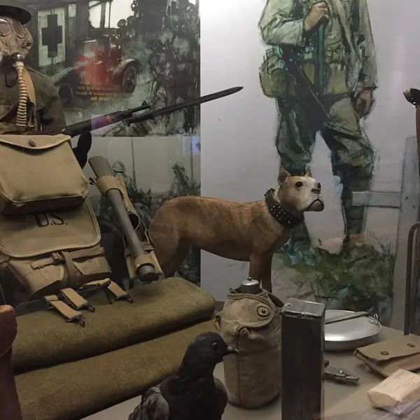 Sgt. Stubby and Cher Ami on display at the NMAH