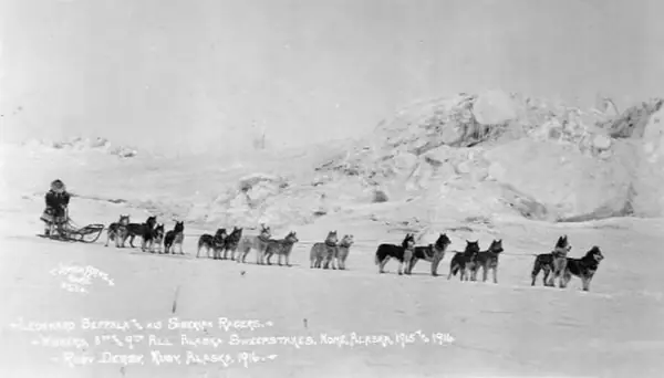 Leonhard Seppala and his winning dogsled team during 9th All-Alaska Sweepstakes dogsled race, Ruby, Alaska, 1916 (AL+CA 6486)