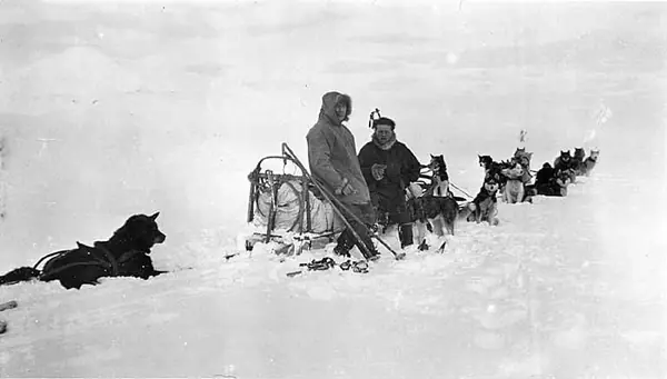 Roald Amundsen and Leonhard Seppala with a dog sled team on a snowy trail near Nome, Alaska, 1923 (AL+CA 2553)