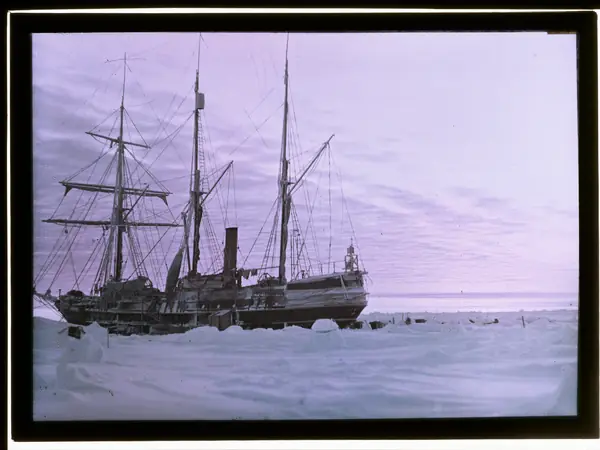 The 'Endurance', The pink glow of the rising sun shining on a pressure ridge, 1915 - photographed by Frank Hurley (3534602329)
