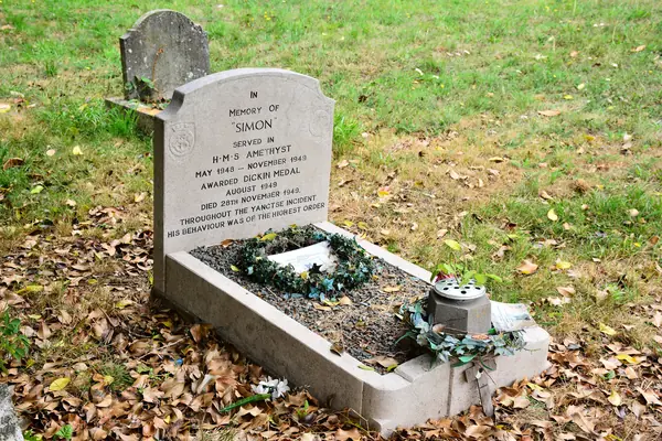 Simon’s grave at the PDSA Animal Cemetery, Ilford, in 2018