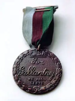 A PDSA Dickin Medal (not Simon’s own)