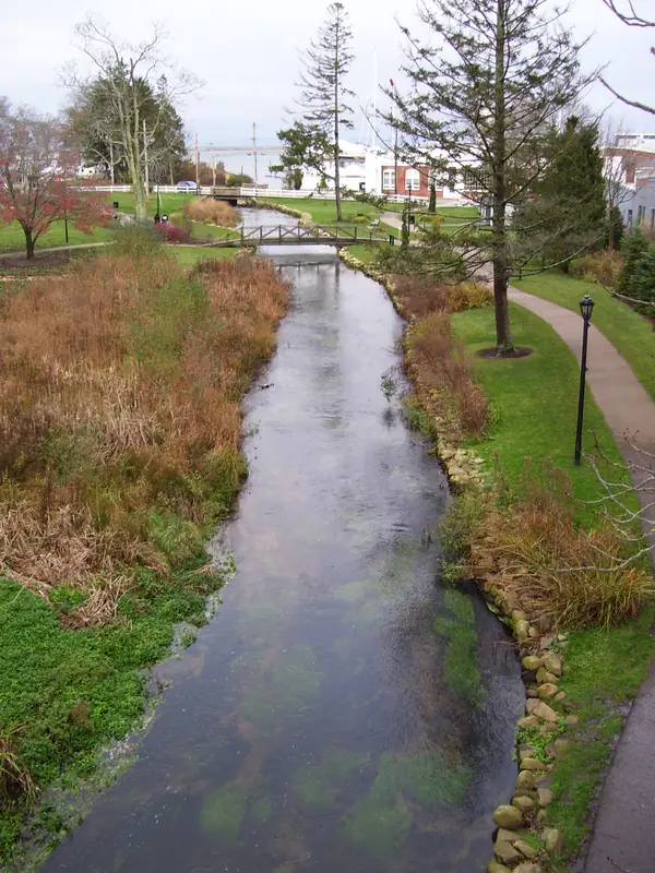 Town Brook, Plymouth, 2009